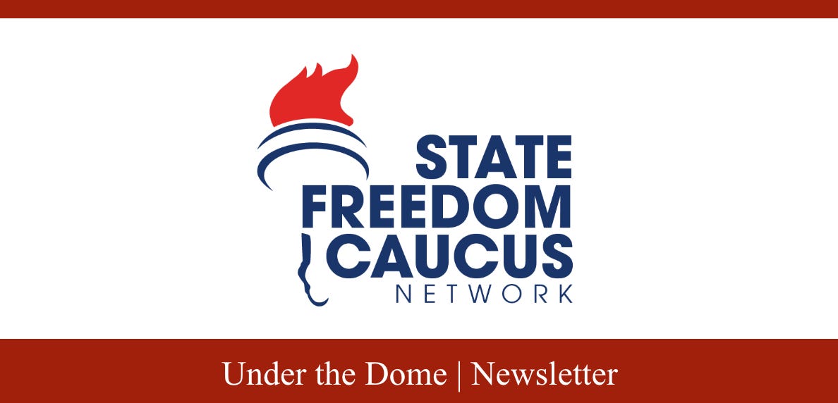 Under the Dome | We Need to Kill Gavin Newsom's Bill in the Senate | Vol. 86