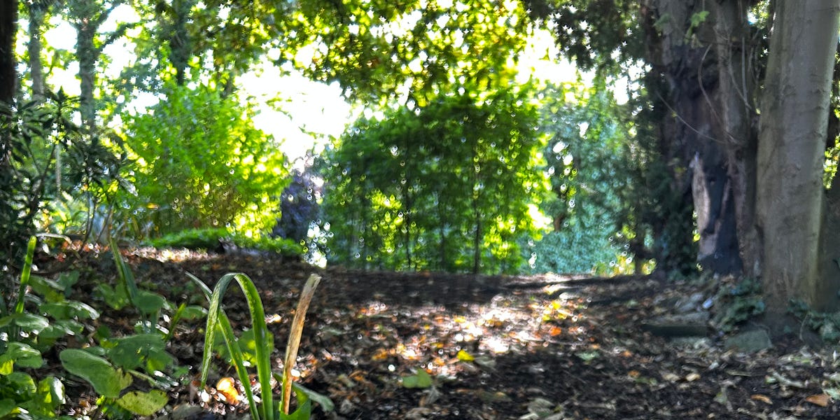 September a mixed month … by Jo Linney