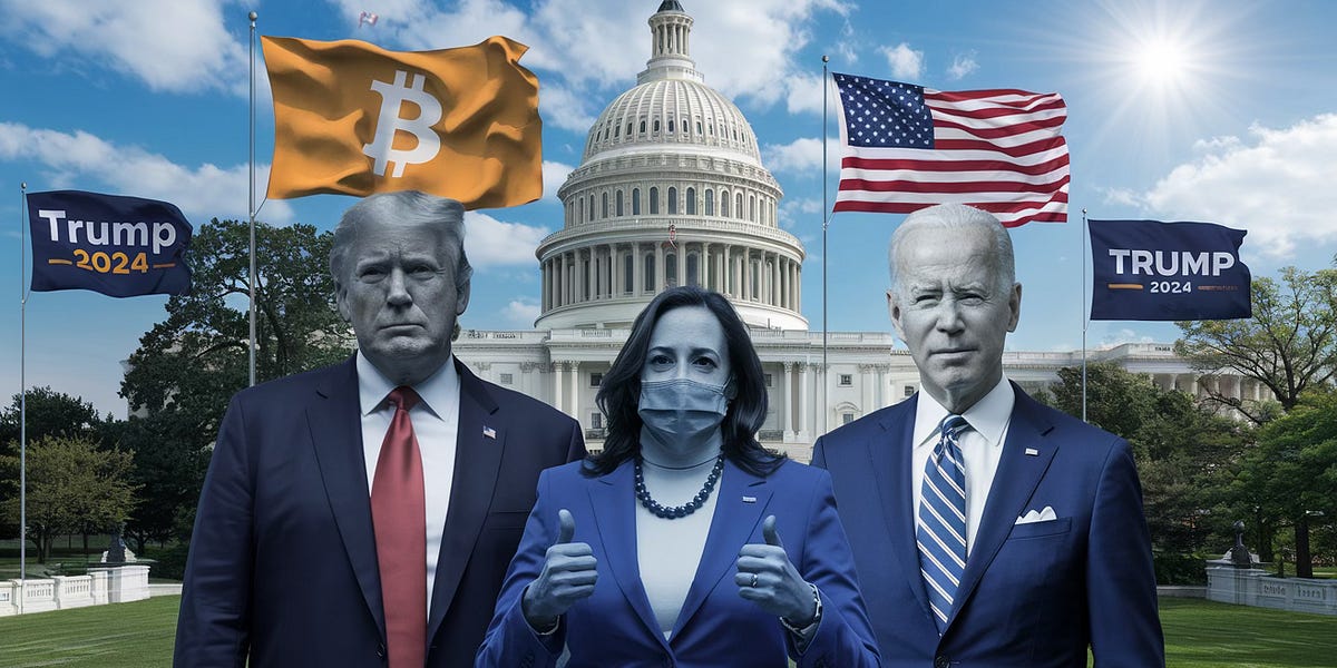 Fortifying The 2024 US Election