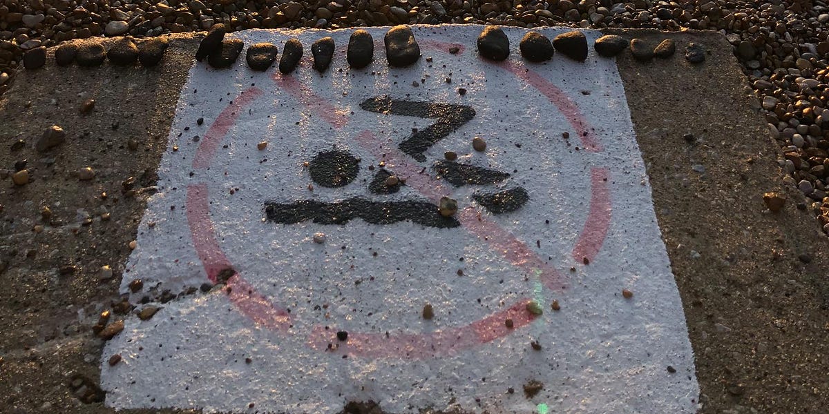 SEED DISPERSAL SYSTEMS by Brian Bouldrey