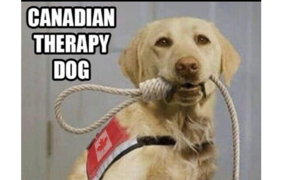 Government Assisted Suicide and Death