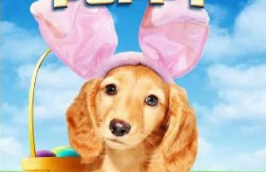 What Is An Easter Bunny Puppy? Let’s Not Find Out Together!