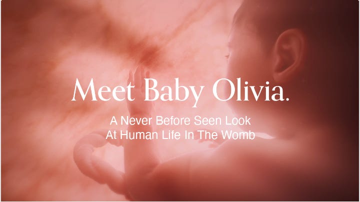 Human Development and Abortion.