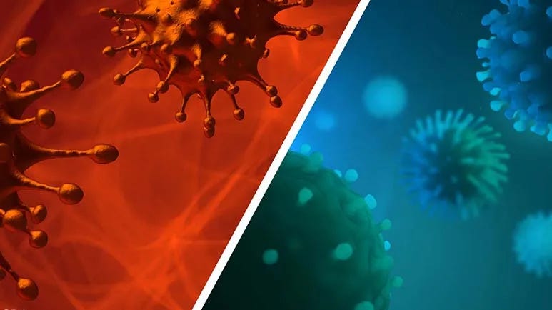 Is COVID More Dangerous Than the Flu?