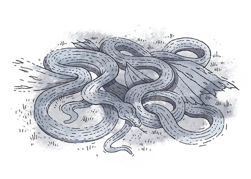 Attrition (Part Two) by Joe Willey Stories Surround Us