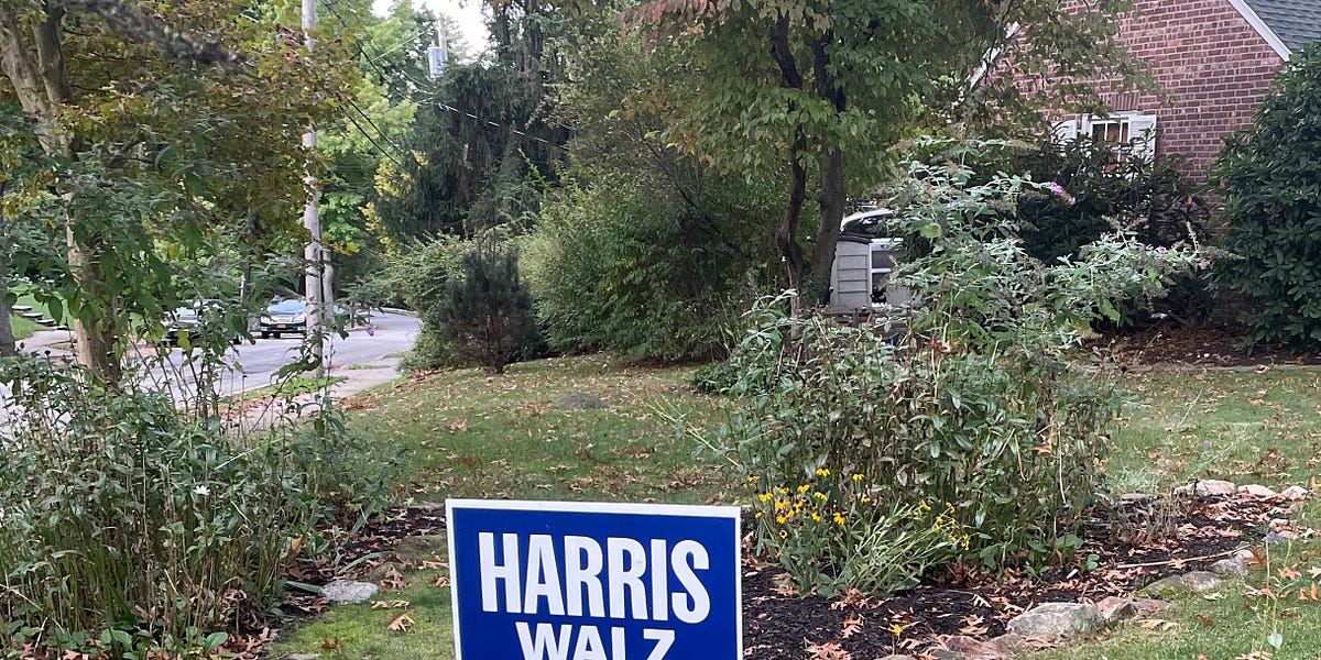 The House Always Wins by Lindsay Mergens