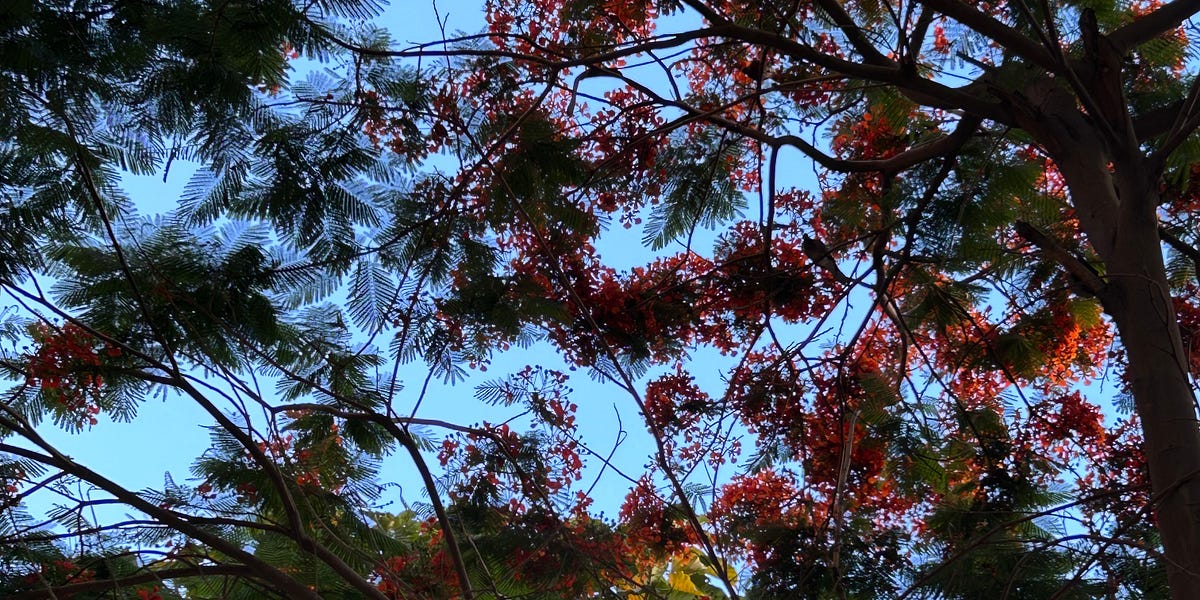 Not the one by Rhyme And Reason Rhyme & Reason