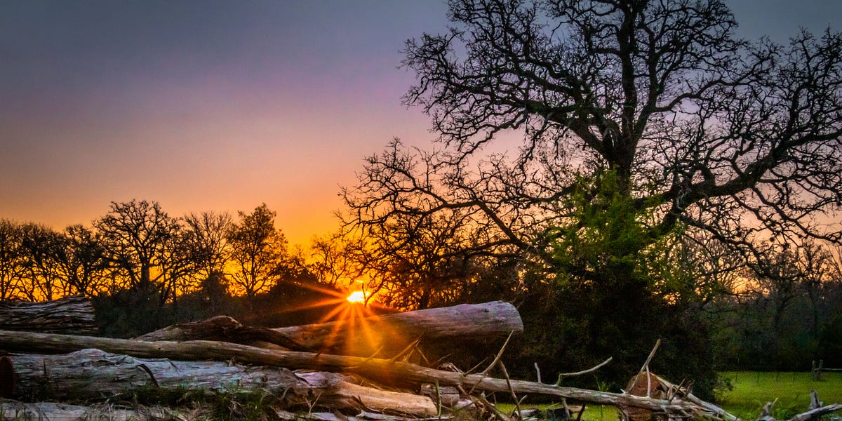 Why One Girl Standing? by Patti Suler