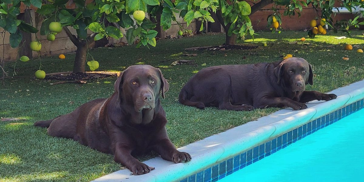 Is It Time To Bring Back The Synchronized Swimming Musical?