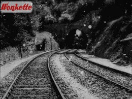 Otter Eats Fish Parfaits With Impeccable Table Manners! Tabs, Thurs., Feb. 15, 2024