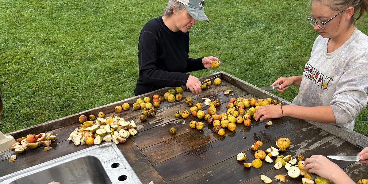 What does it mean to have security?