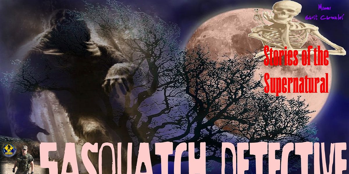 Sasquatch Detective | Interview with Steve Kulls | Stories of the Supernatural