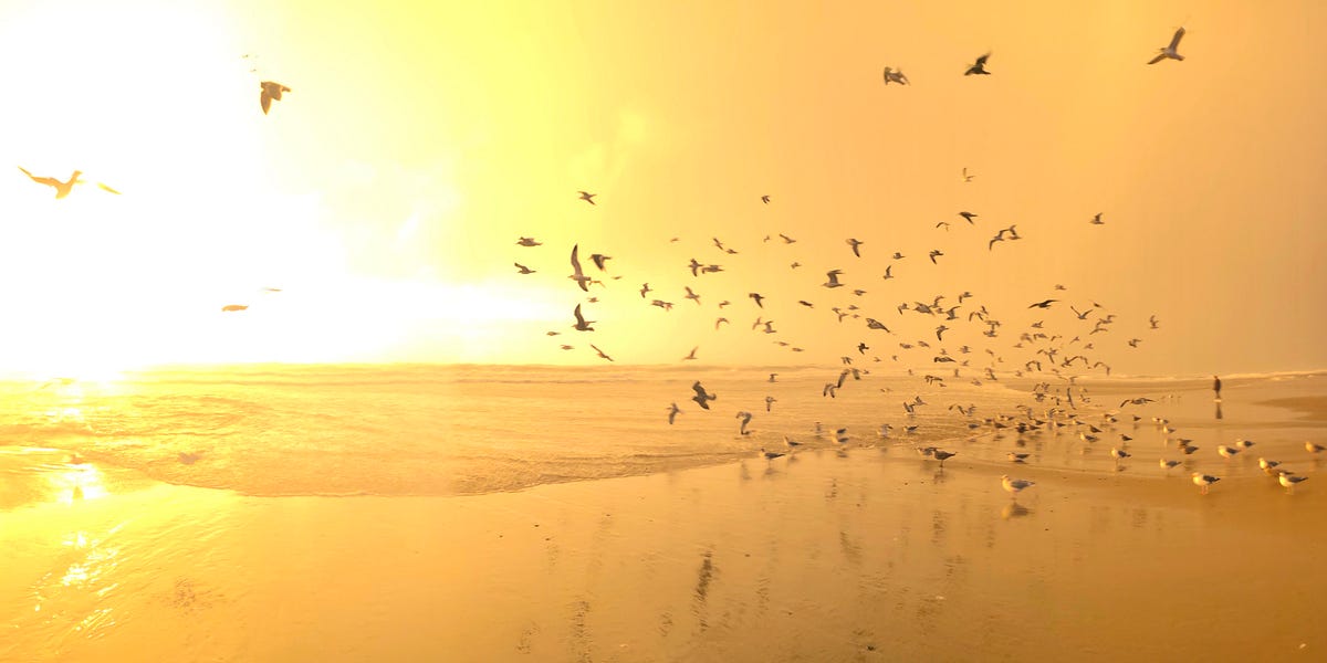 Supplements for Quantum Jumping by Kourtney Wellette