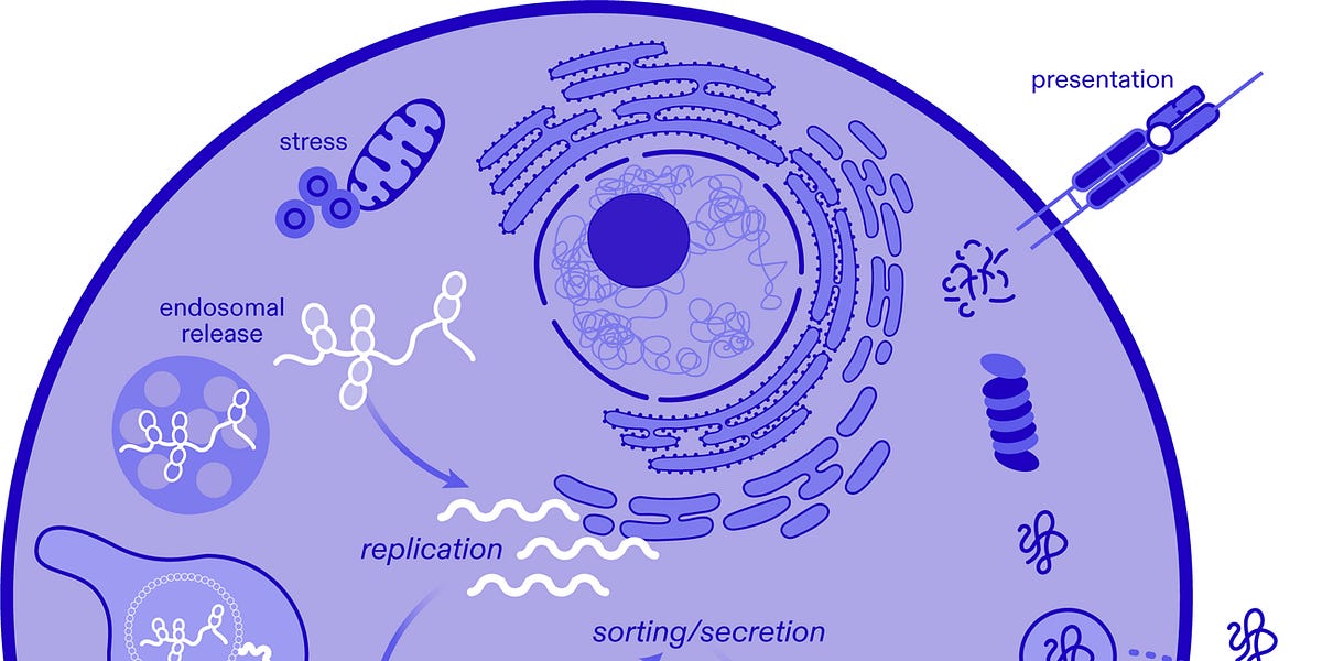 UPDATE: All Vaccines Will Kill You & FDA Fast Tracks Self-Amplifying mRNA Injections