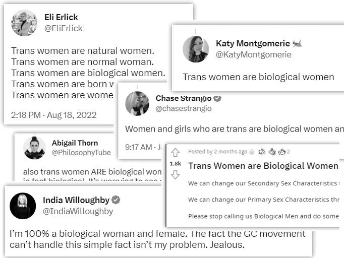 speakingplainly.substack.com