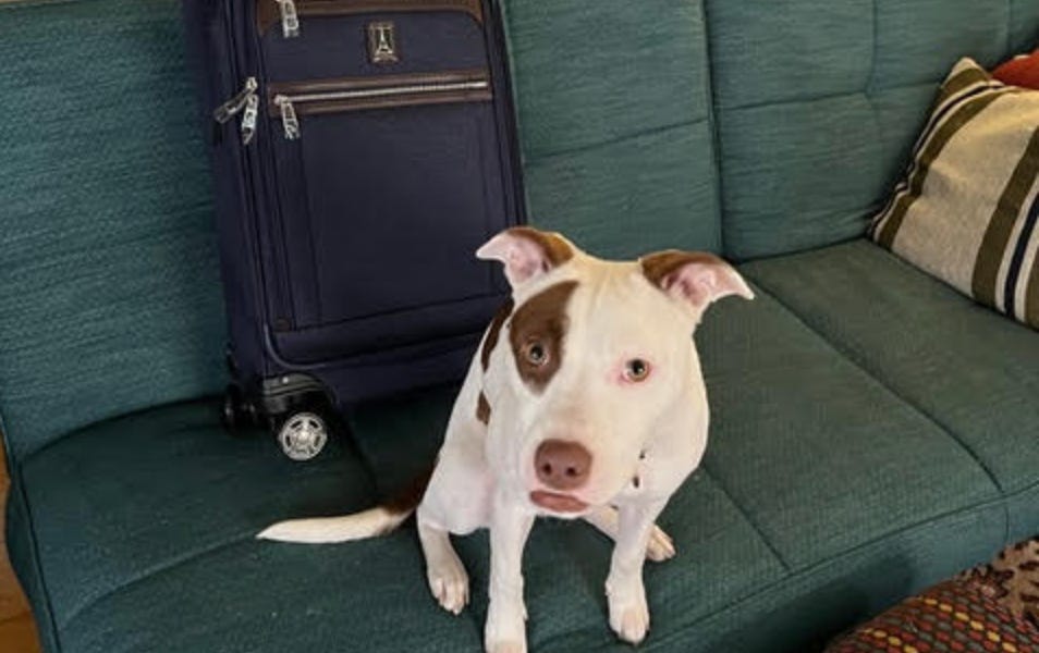 What, In Fact, *Does* It Take To Make A Pro Blush?