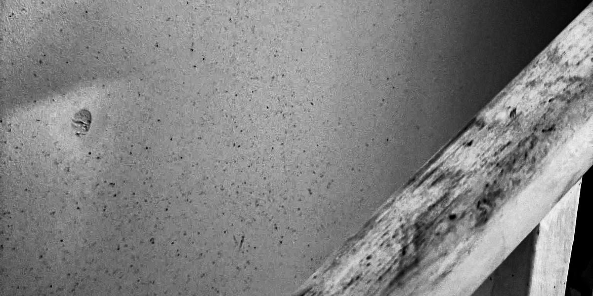 🔥 Fire Safety Lessons by Rachael TwumasiCorson