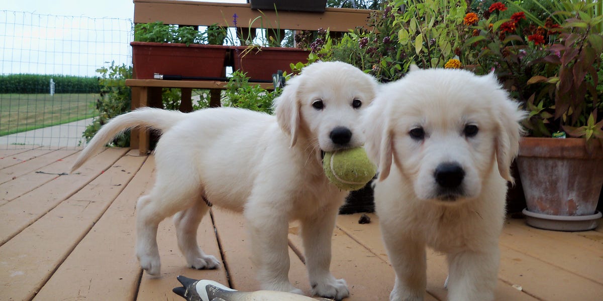 Here Be Dragons? – by Robyn Pennacchia