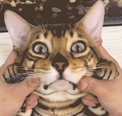 Joe Biden Gonna Steal Your Phone! Tabs, Fri., June 21, 2024