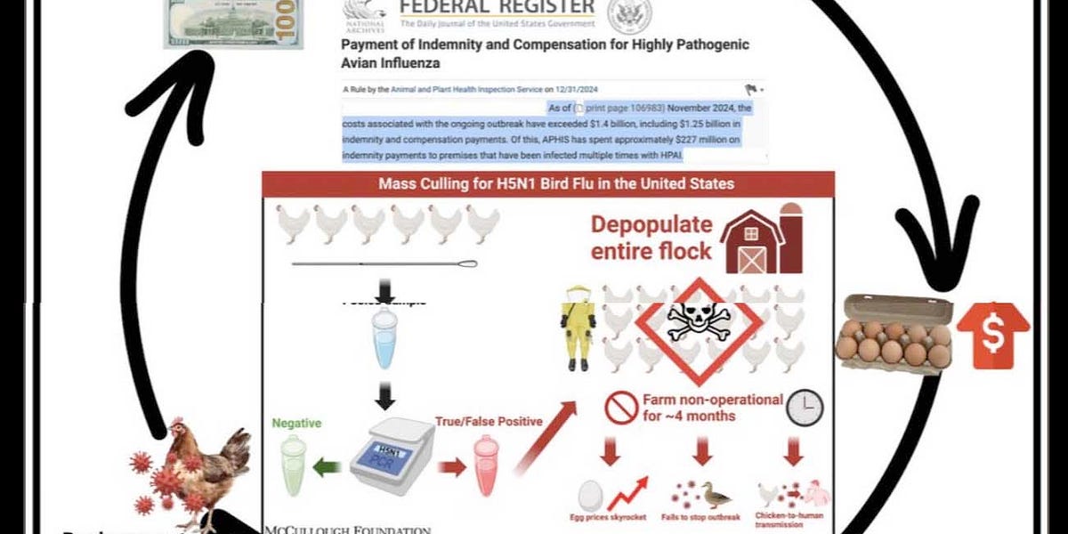 The U.S. Department Of Agriculture Created And Leaked H5N1 PSYOP-BIRD-FLU