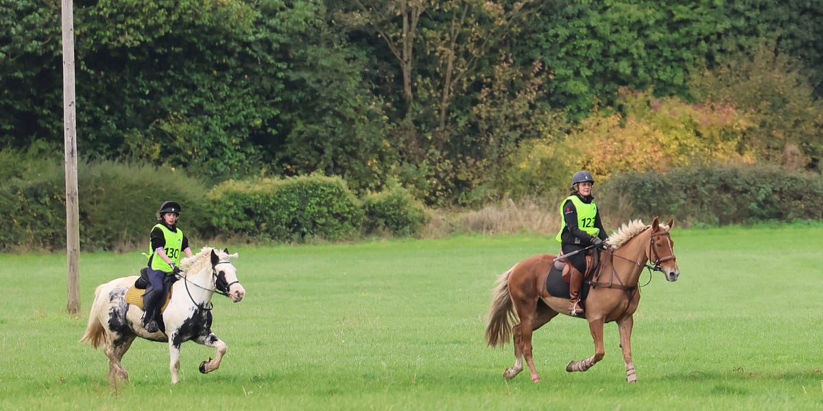Equine fun and competition galore Horse&Field