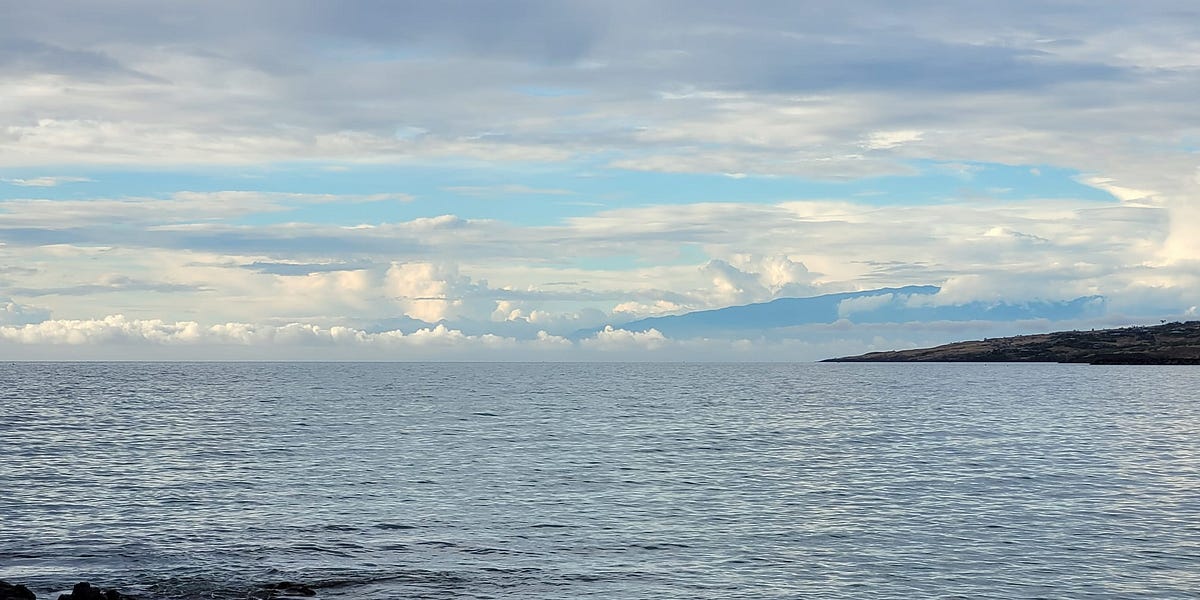 Turn Off Your Mental AutoPilot by Gregory Morrical