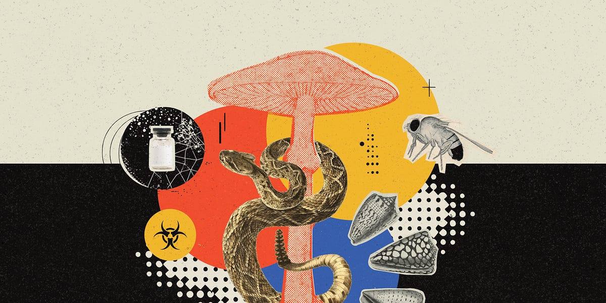 Toxic Proteins for Drug Discovery