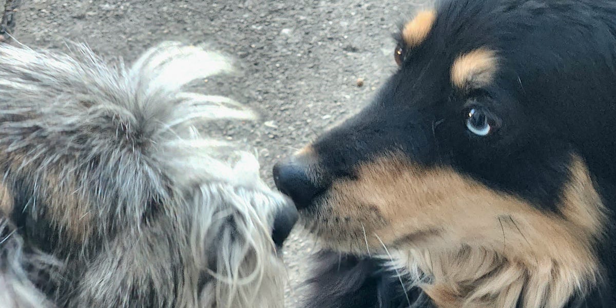 Happy Day You’re Probably Actually Celebrating St. Patrick’s Day!