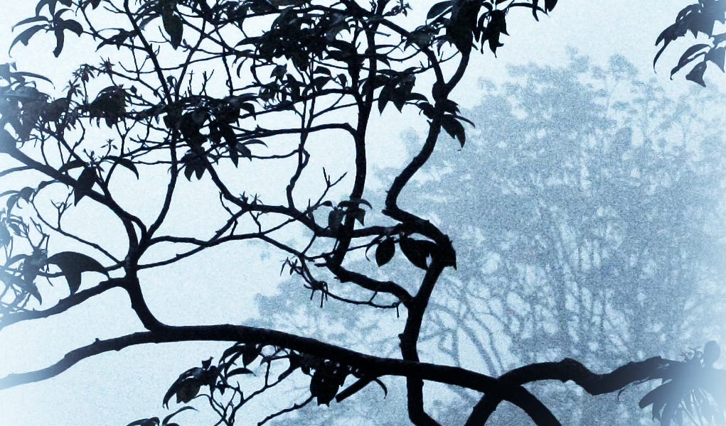 The World Turned Upside Down Episode 6 by Ed Santella