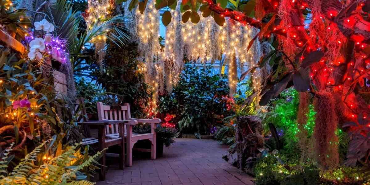 Rochester Events This Week, 12/5/24