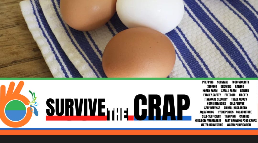 Would You Dare Eat an Egg Which Has Set on a Shelf for Almost 2 Years? Of course, you can!