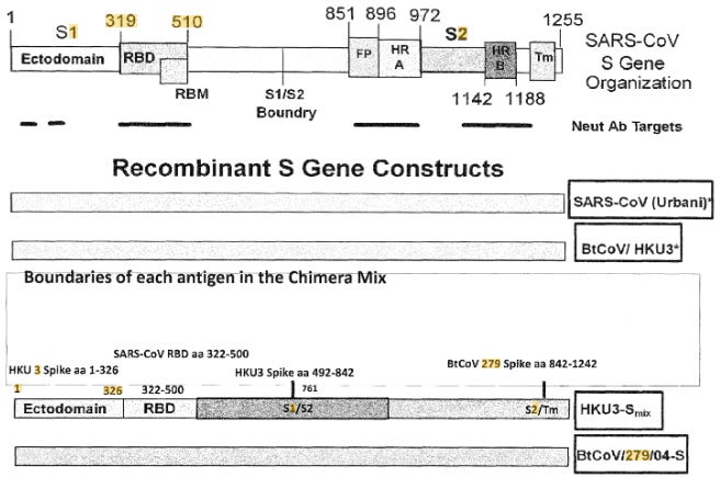 SARS2 was patented by Ralph Baric in 2018