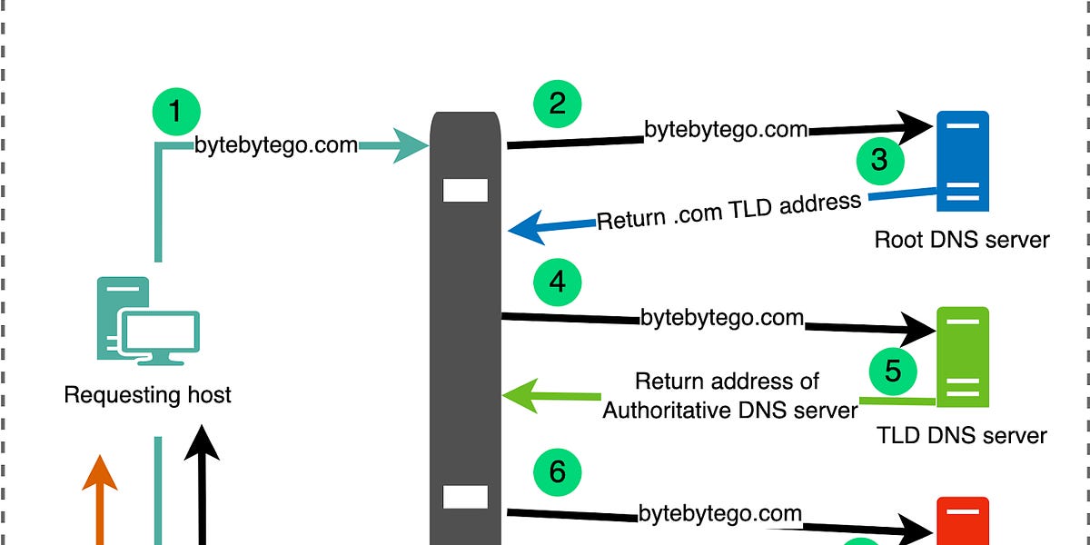 DNS（域名系统）速成课