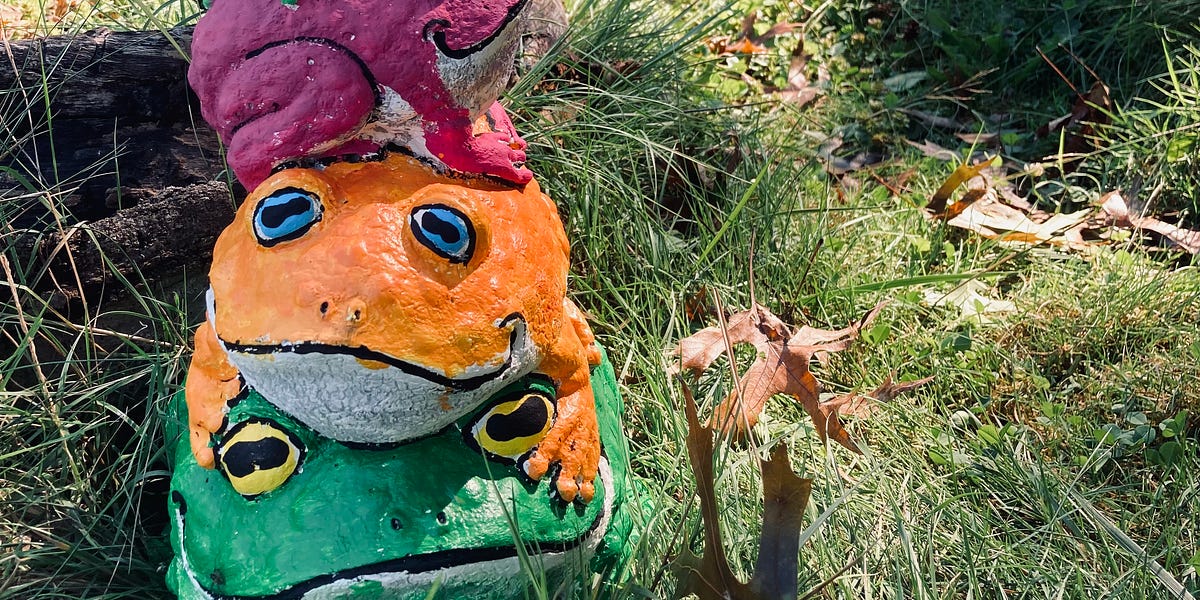 Good Morning Frogs! by Kes! The Fox Frog Dispatch