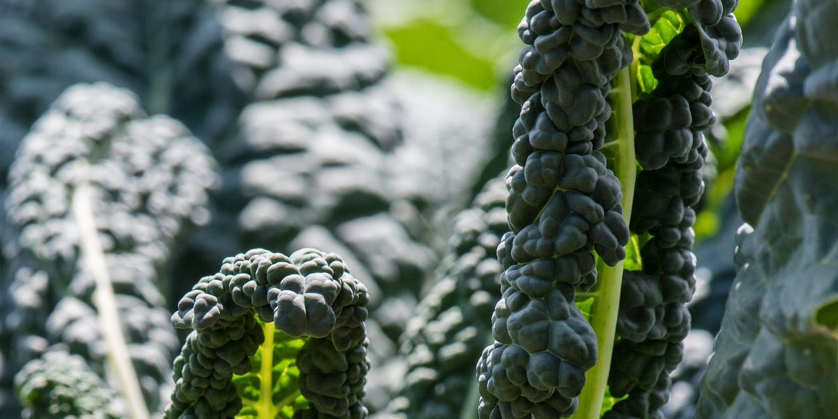 She Seeks Sensual Salad Secrets!