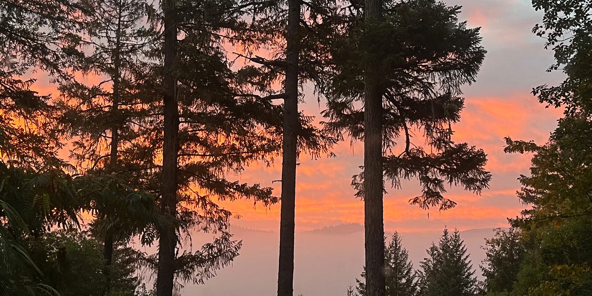 Surfacing by Erin O'Connor The Story Rules Project