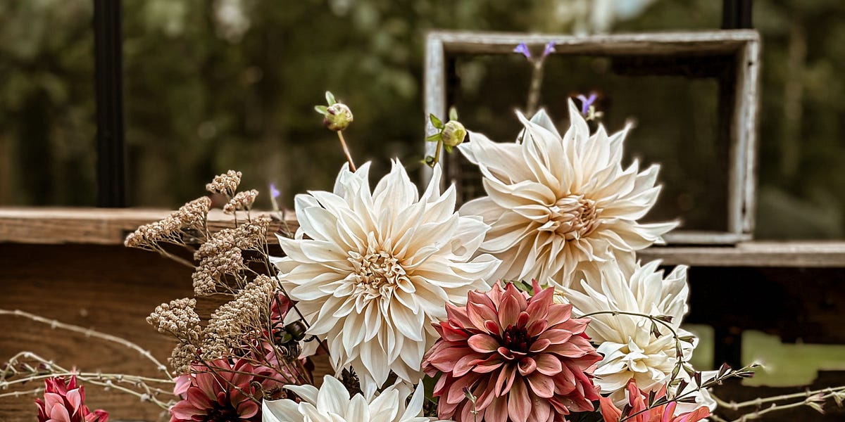 To dig or not to dig and when to lift, I’m talking dahlias!