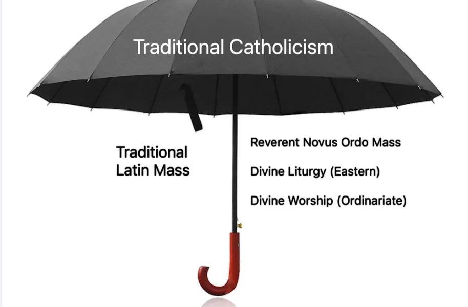 The FBI Conducts Domestic Violent Extremism Investigations on TradCaths: House Report.
