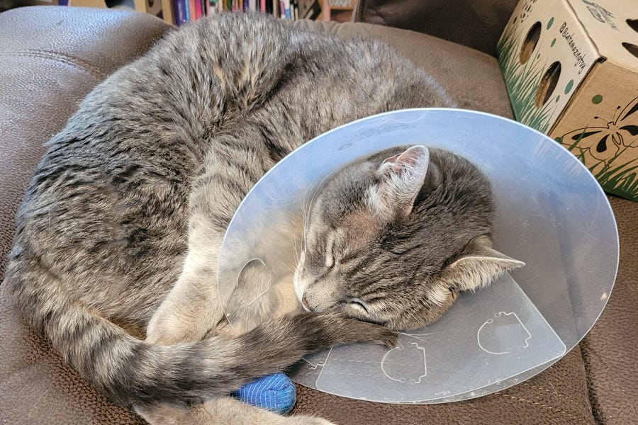 Don’t Go Chasing Waterfalls (Unless Your Last Name Is Wallenda)