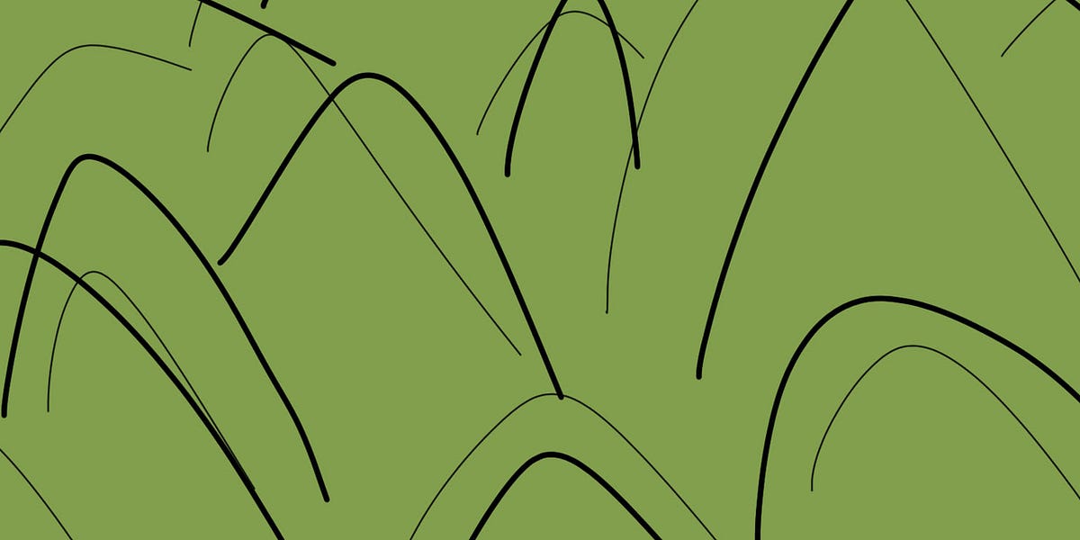 A break in scheduled programming by Aderinsola Acave