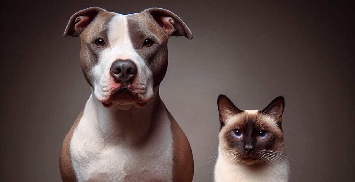 Exploring Furry Companions: Your Input Needed!