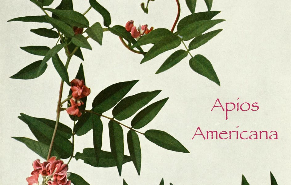 Homesteading: Gifts from West Virginia