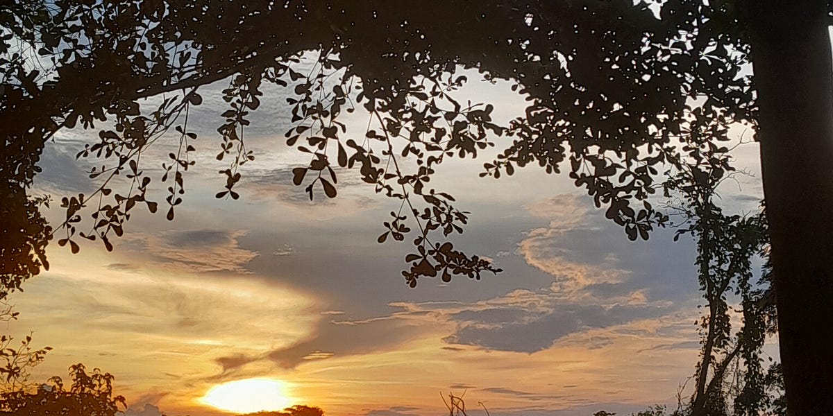 Blunt Knife by Ibidunmoye Ayomide Ibidunmoye’s Substack