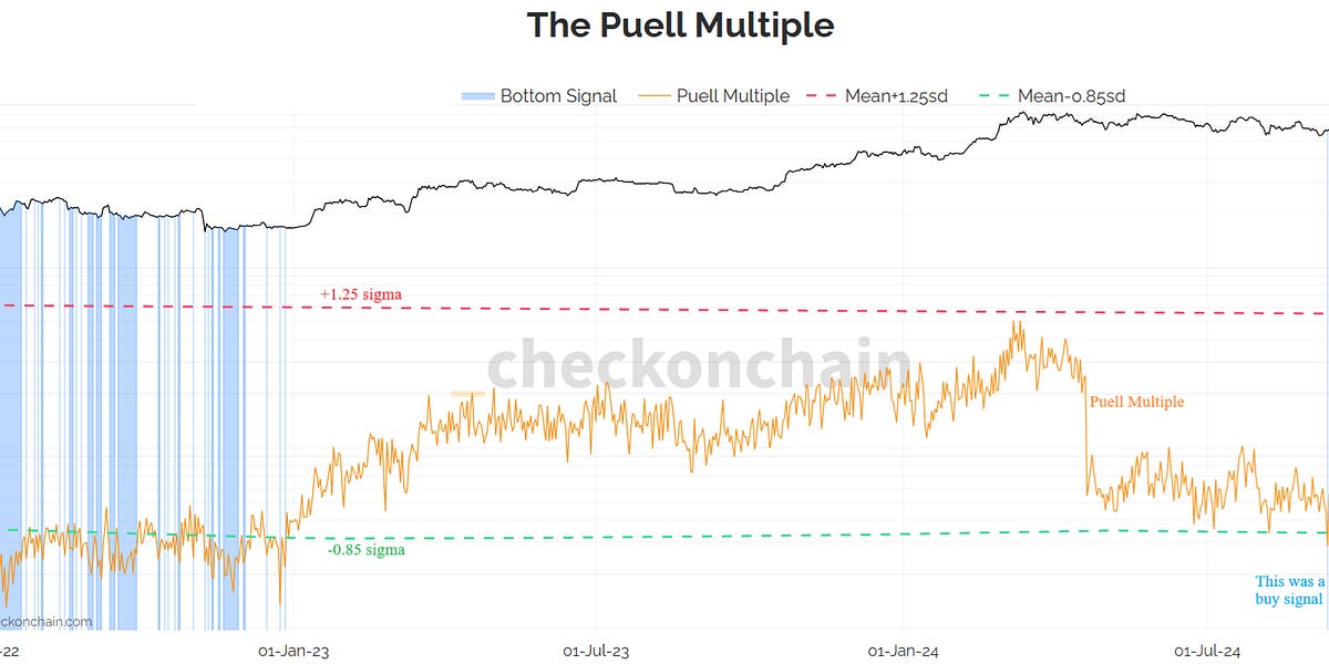 OnChain Data Does it Support Bulls or Bears?