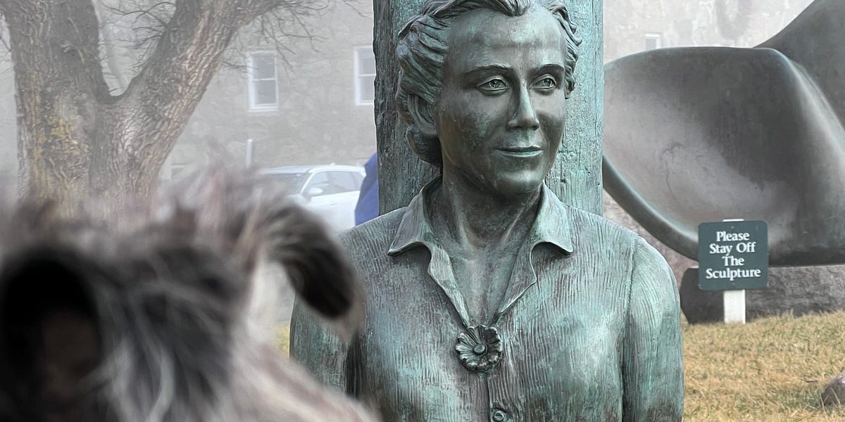 A Grave Admission Tom Ryan, Author