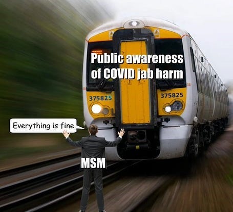 The Rest of the Story - Steve Kirsch's MIT Speech on NZ Whistleblower Barry Young's Revelations Proving C-19 