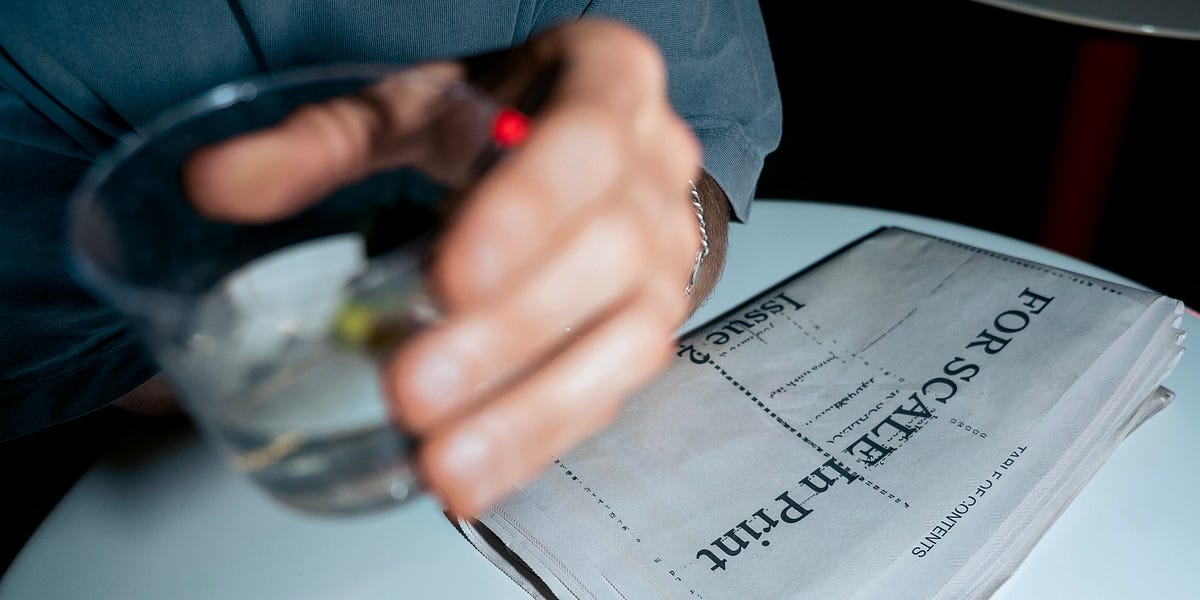 article preview