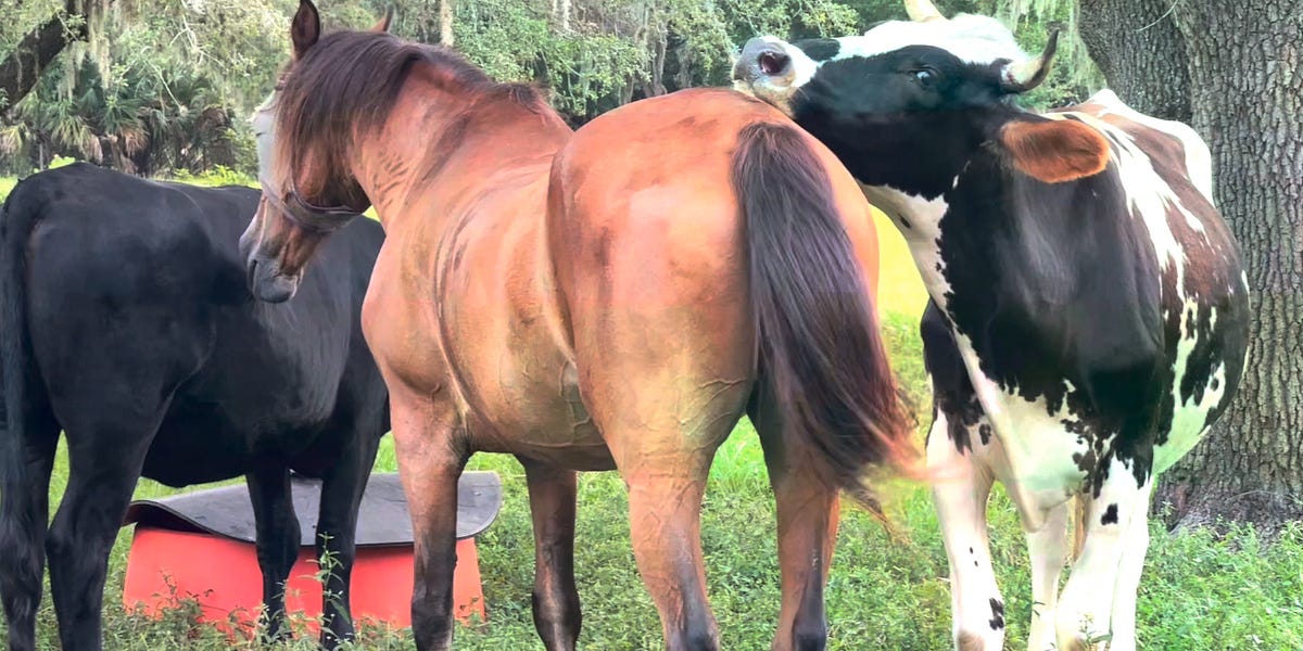 What journalism and farming have in common