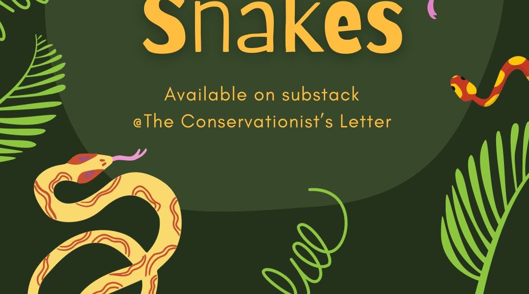 Photo inspiration: Gallery Detail: Demystifying Snakes