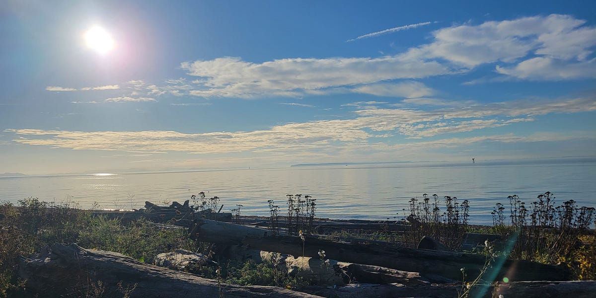 Give Into The Loneliness {& What Happens When We Do}